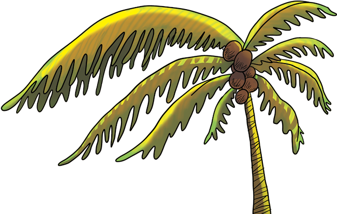 Coqueiro - Attalea Speciosa Clipart (738x437), Png Download