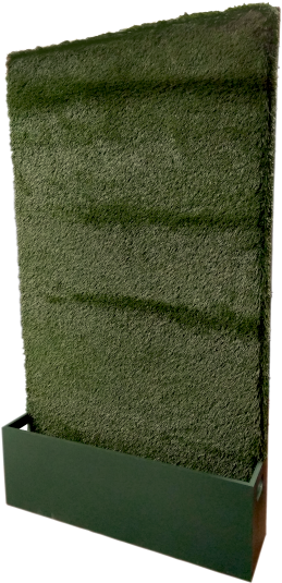 Green Boxwood Grass Wall - Wood Clipart (800x600), Png Download