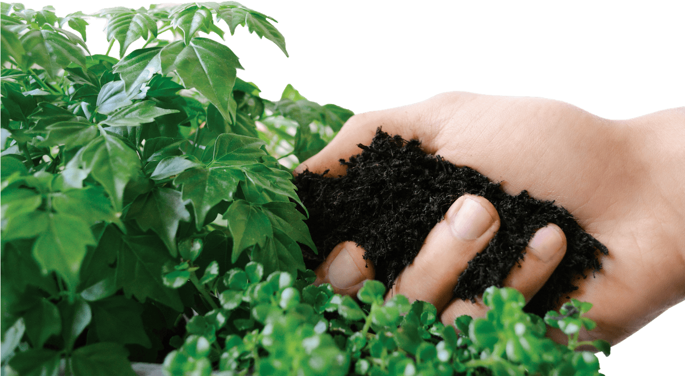 Hop Compost - Hand Clipart (1380x779), Png Download
