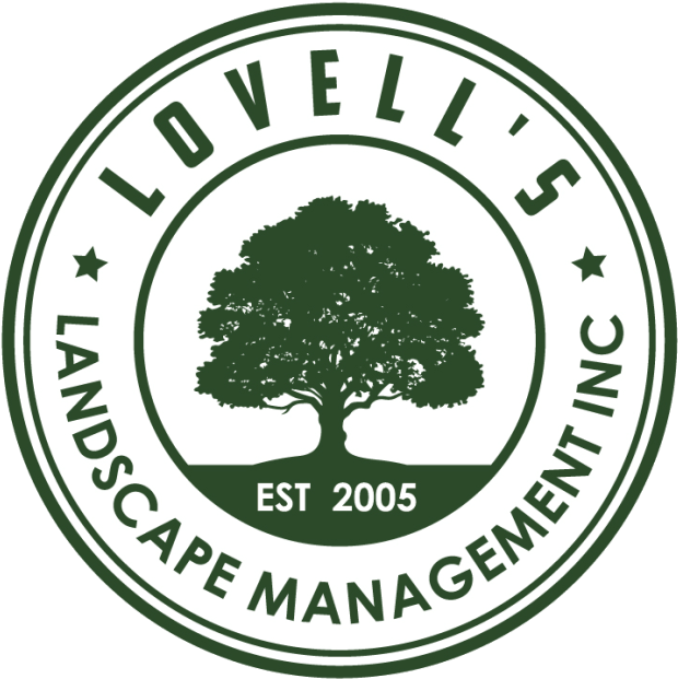 Boxwood Treatment Program - Baseball Boston Clipart (640x637), Png Download