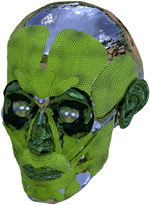 Crânio, Anatomia, Caveira, Humano, Cabeça, Face - Face Mask Clipart (720x720), Png Download