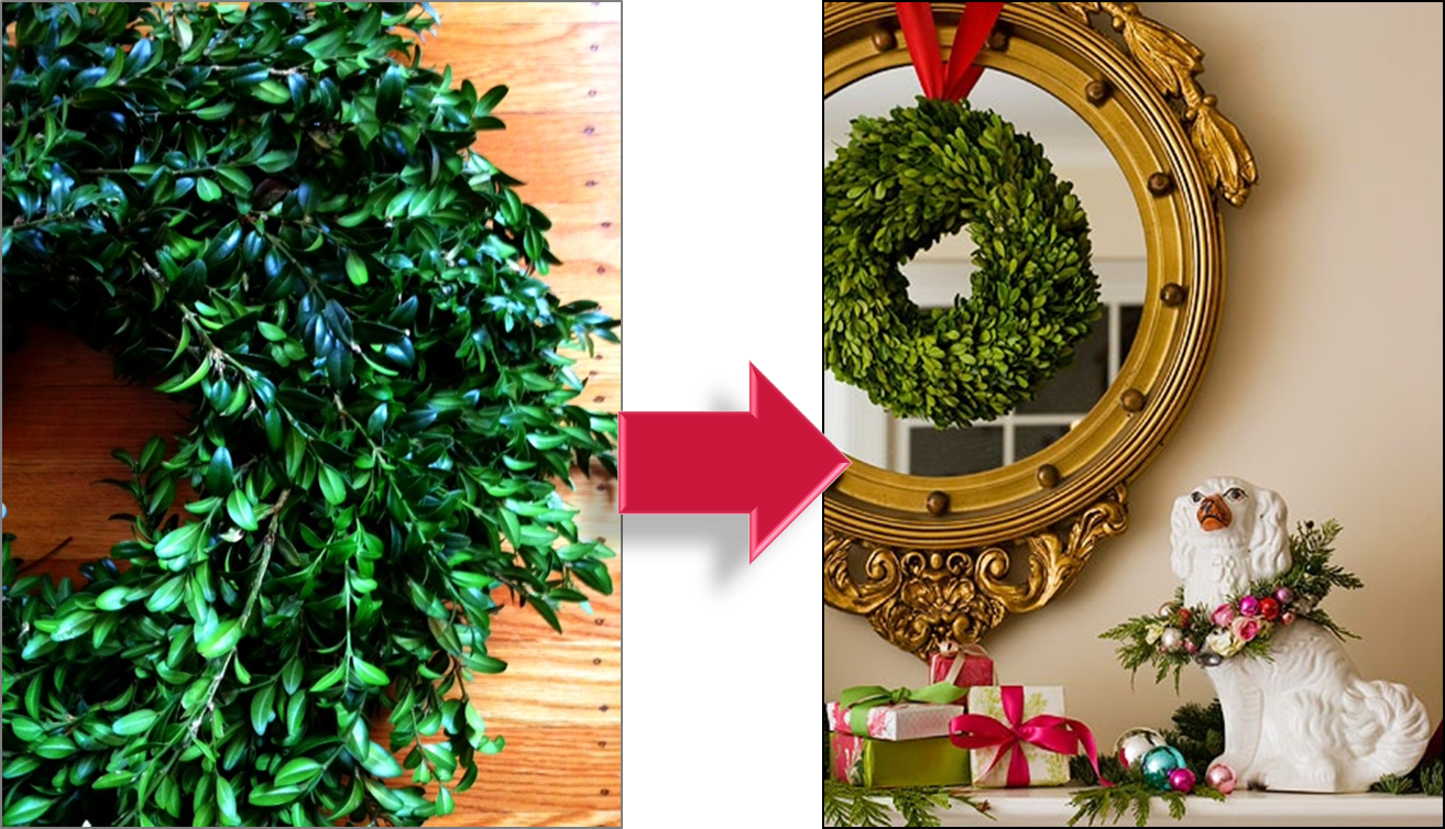 They Were Selling Live Boxwood Wreaths At The Christmas - Artificial Flower Clipart (1313x754), Png Download
