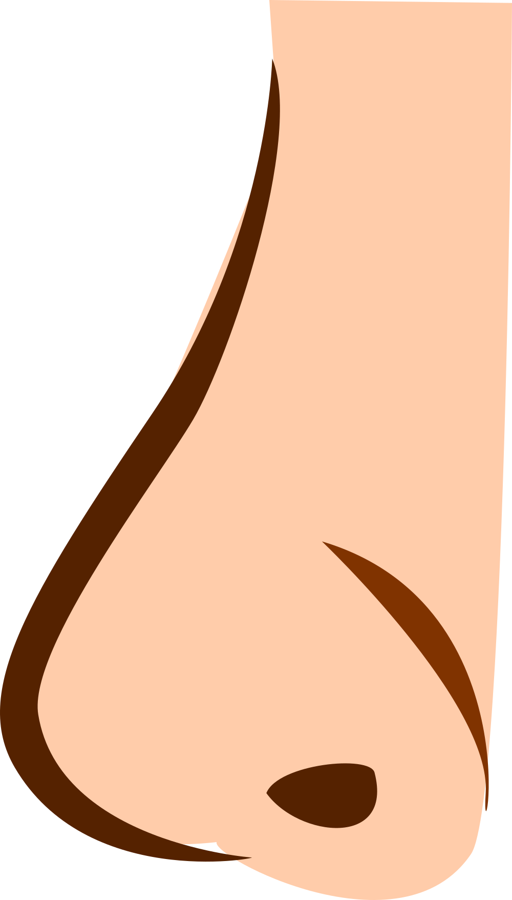 Nariz - Nariz En Png Clipart (1000x1756), Png Download