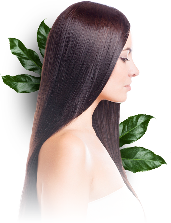 Urtica Dioica Leaf Powder, Wheat Aminiacids, Silk Amino - Lace Wig Clipart (601x768), Png Download