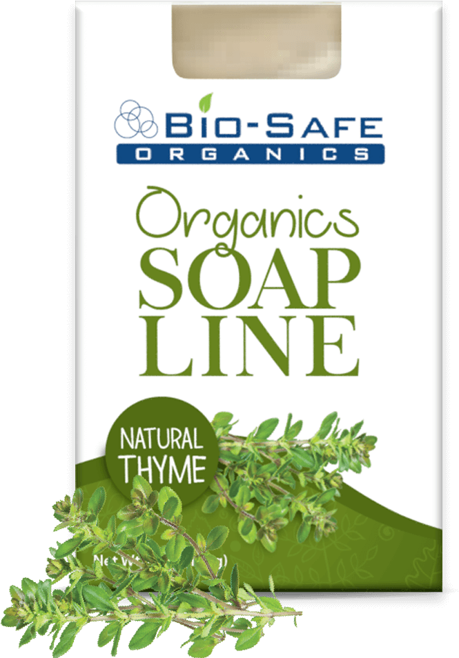 Natural Thyme - Holly Clipart (960x1020), Png Download