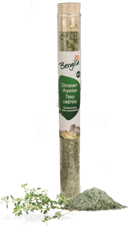 Tree Clipart (800x800), Png Download