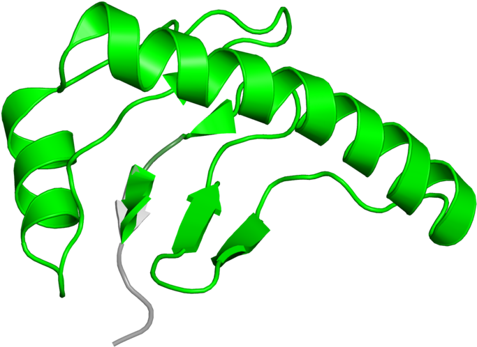 Clip Art - Png Download (800x800), Png Download