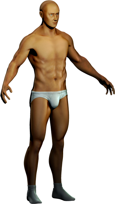 Let Me Start With This Anatomical Base, A Male Mannequin - Underpants Clipart (573x764), Png Download
