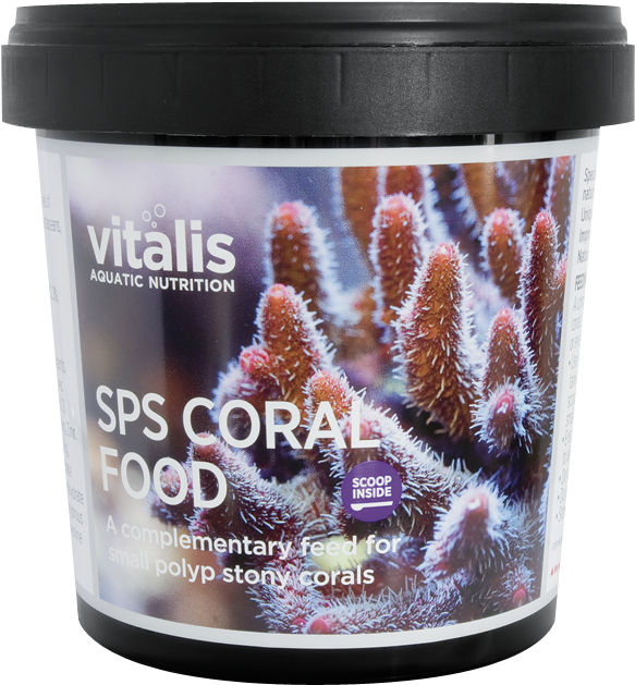 Sps Coral Food Pa - Stony Coral Clipart (600x650), Png Download