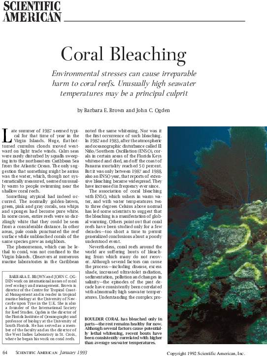 Pdf - Marine Biology Clipart (585x774), Png Download