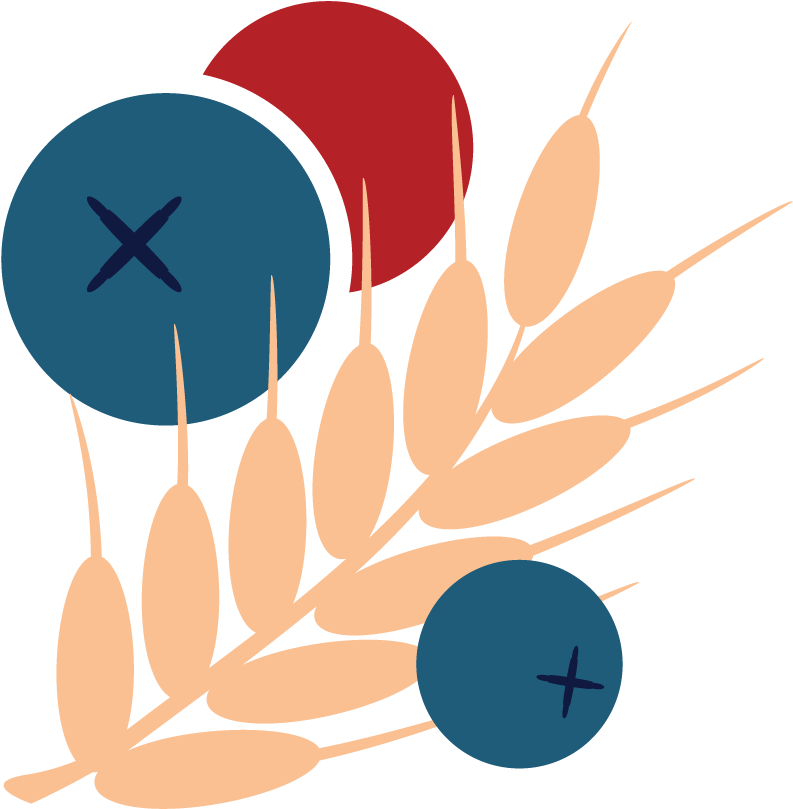 Taparty Cookery Class - Illustration Clipart (1250x1250), Png Download