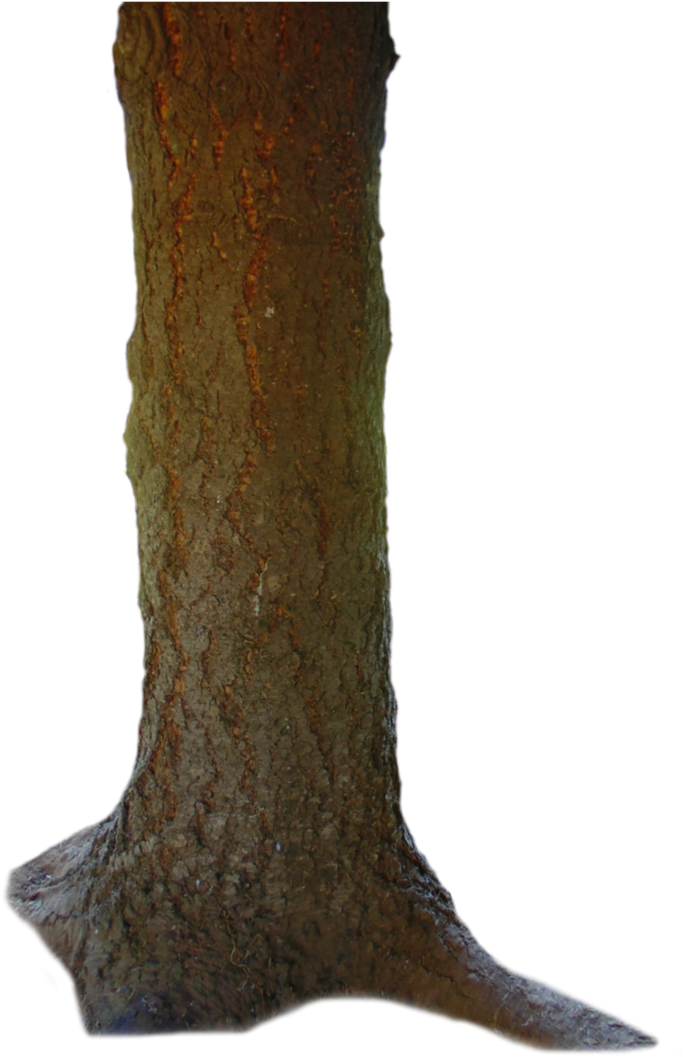 Tronco Png - Wood Clipart (730x1093), Png Download