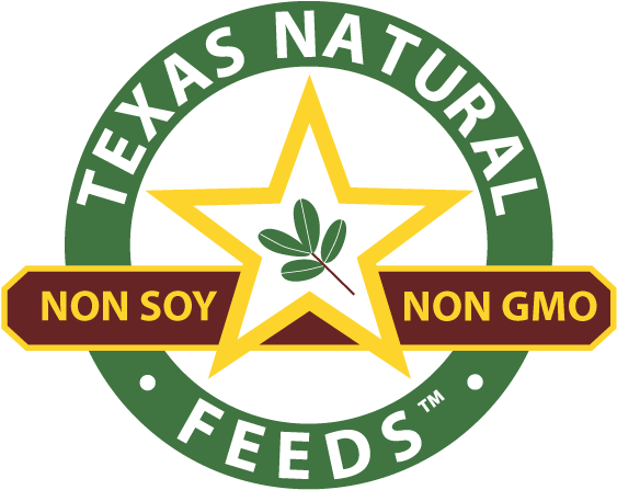 Emblem Clipart (592x569), Png Download