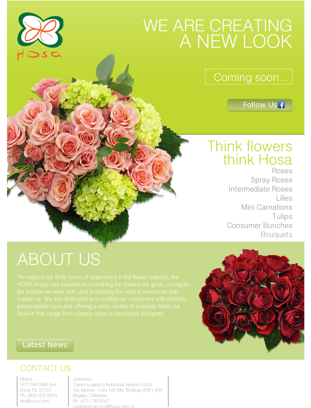Garden Roses Clipart (1024x1437), Png Download