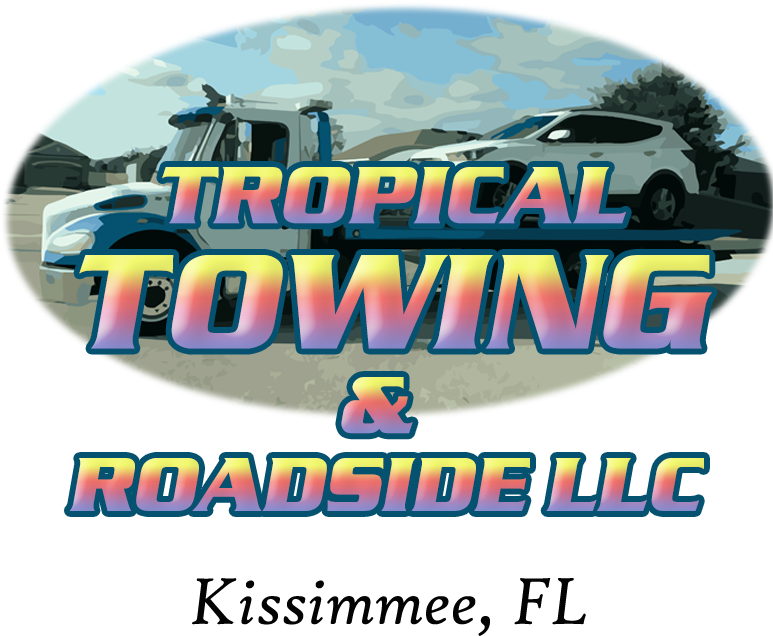 O'reilly Auto Parts - College Softball Clipart (800x800), Png Download