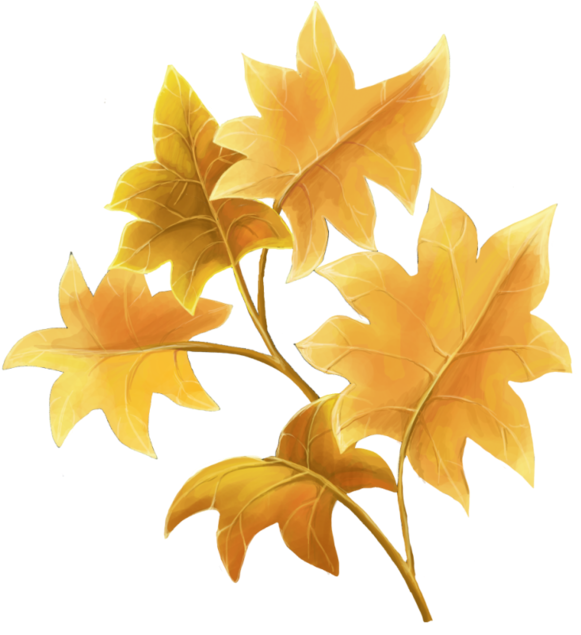 Hojas De Otoño - Folhas Laranja Png Clipart (600x634), Png Download