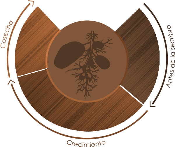 De La Papa - Circle Clipart (600x514), Png Download