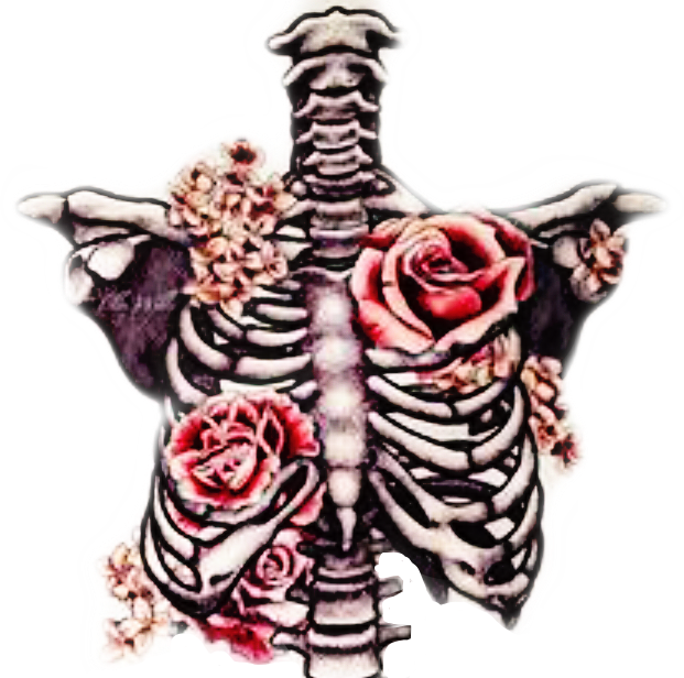 #freetoedit #ribcage #bones #roses #beautifuldeath - Lungs With Flowers Drawing Clipart (621x616), Png Download