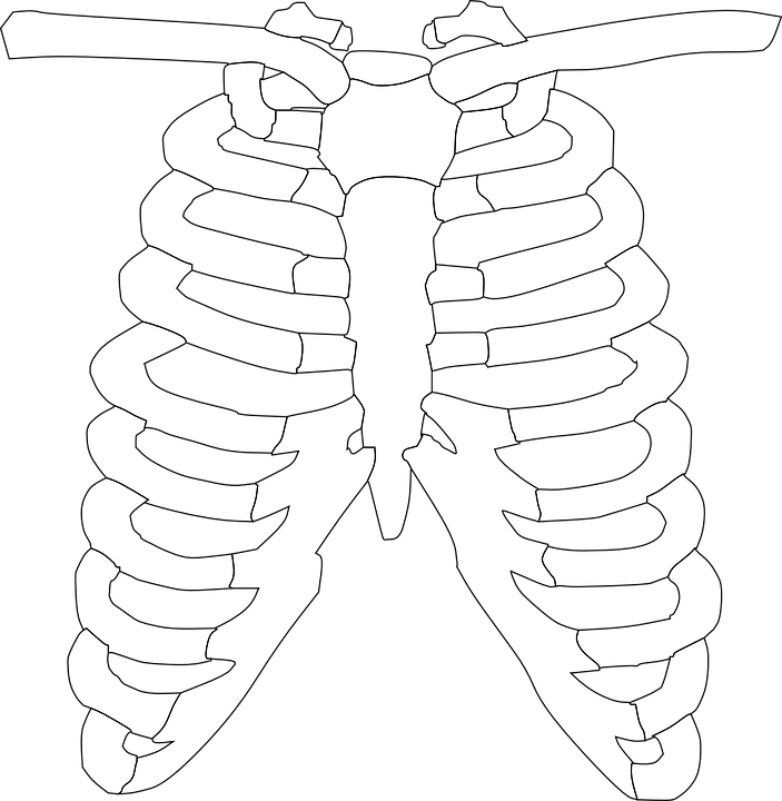 Rib Cage 296377 960 720 Chronic Illness, Chronic - Rib Clipart Black And White - Png Download (703x720), Png Download