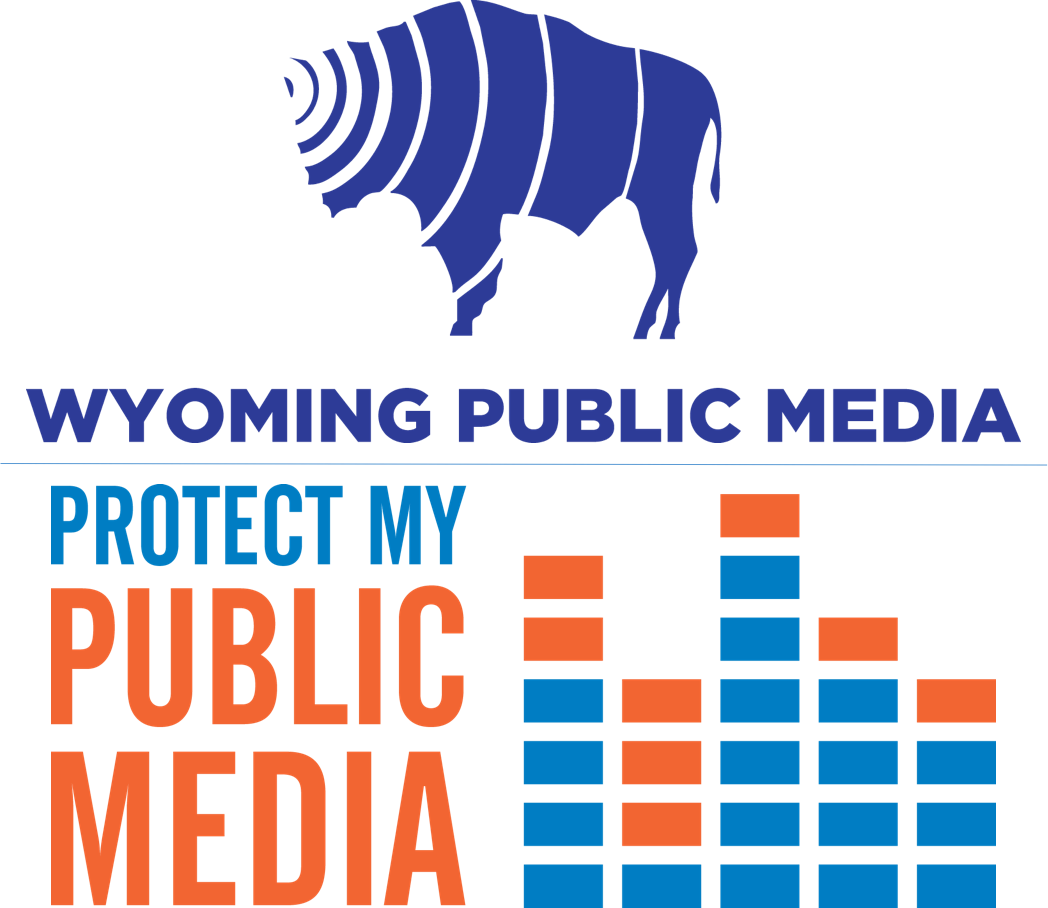 With A New Administration And Congress, Changes Are - Protect My Public Media Logo Clipart (1048x908), Png Download