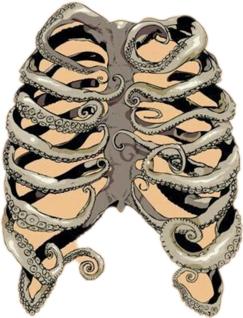 #art #bones #ribcage #tentacles #stickers - Octopus Rib Cage Clipart (806x1054), Png Download