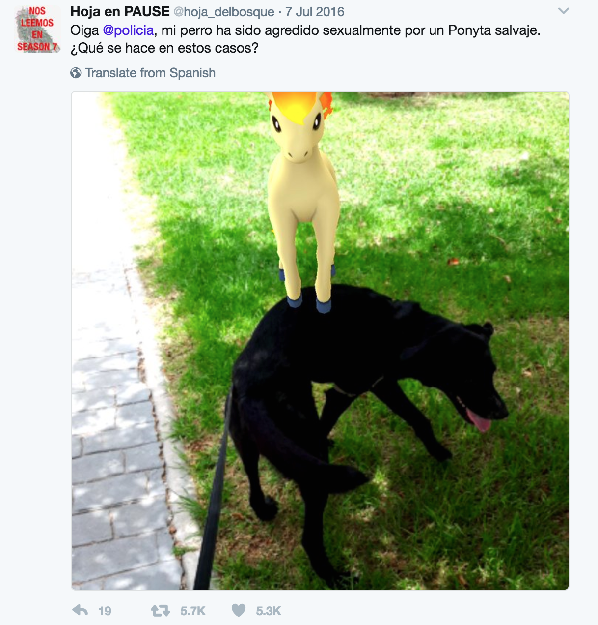 Public Administrators, Social Media And The Legitimacy - Policias Nacionales Con Perros Clipart (2560x1600), Png Download