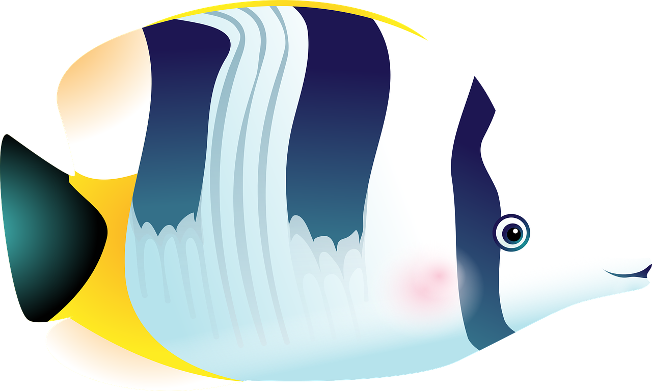 Peixe Peixes Tropicais Mar Aquário Tanque De Peixes - Illustration Clipart (960x576), Png Download