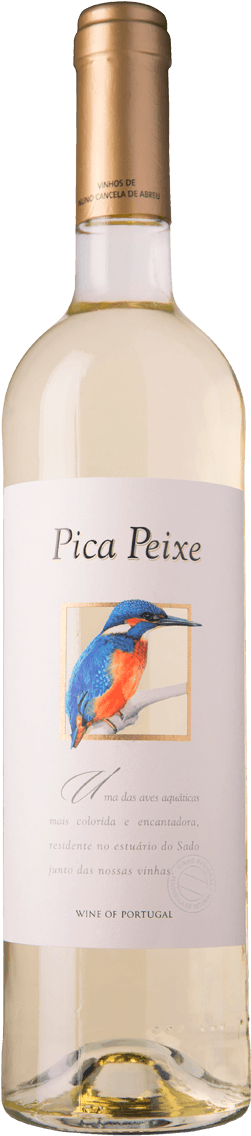 Pica Peixe Branco - Glass Bottle Clipart (800x1200), Png Download