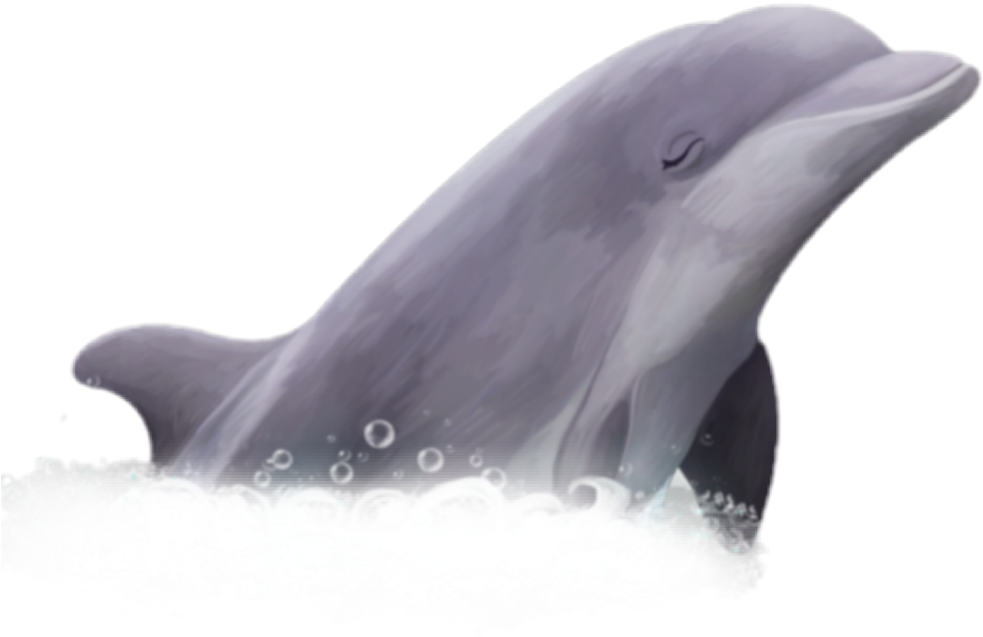 #golfinho #peixe - Common Bottlenose Dolphin Clipart (1024x1024), Png Download
