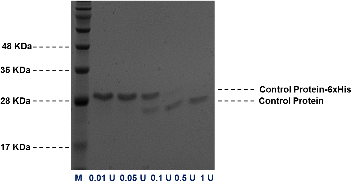 Thrombin Cleavage Kit - Monochrome Clipart (1174x622), Png Download