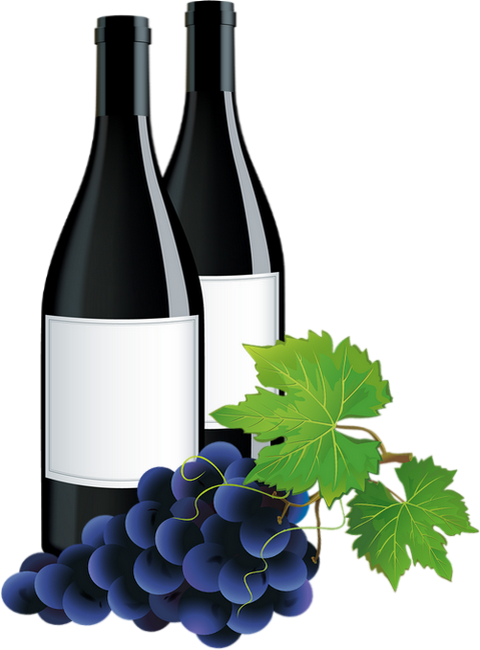 Botella De Vino Vector Clipart (480x650), Png Download