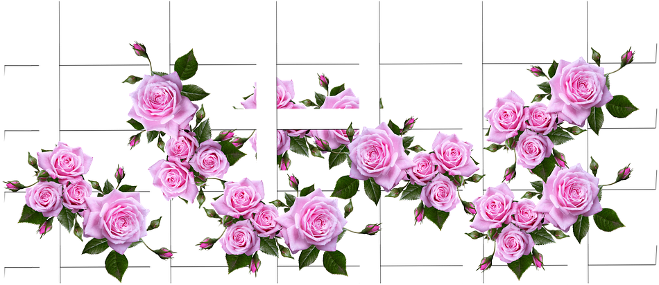 Roses Flowers Trellis Garden Nature - Teralis Taman Bunga Clipart (960x422), Png Download