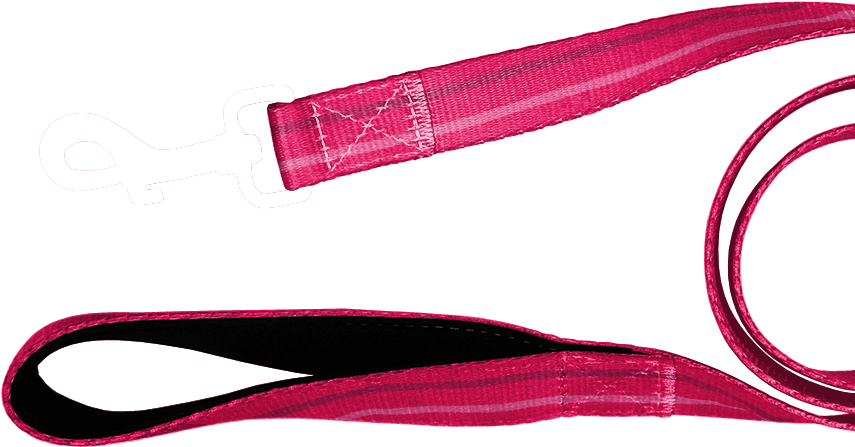 Pink Leash - Carmine Clipart (880x500), Png Download
