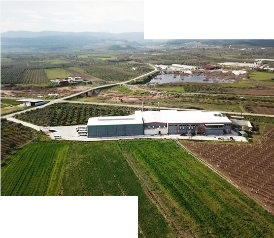 We Will Continue To Bring Our Products Blended With - Aerial Photography Clipart (555x554), Png Download