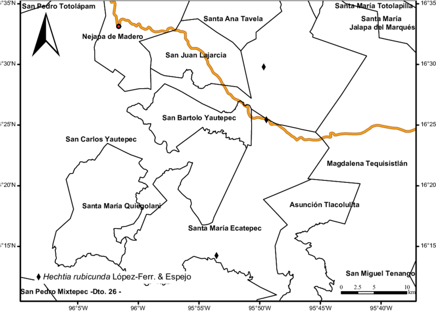 Distribución Conocida De Hechtia Rubicunda López-ferr - Map Clipart (850x617), Png Download