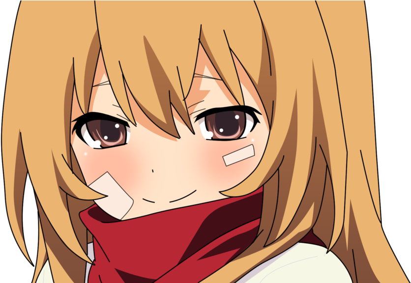 Photo Taiga Aisaka Fc-24 - Toradora 4k Clipart (1022x575), Png Download