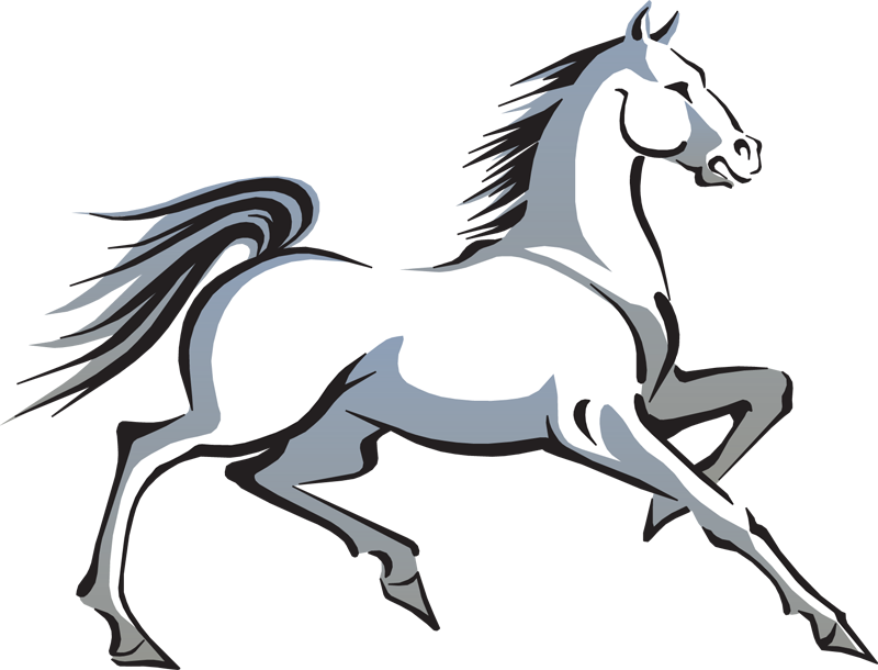 Stallion-e1473366703669 - Horse Clipart (800x610), Png Download