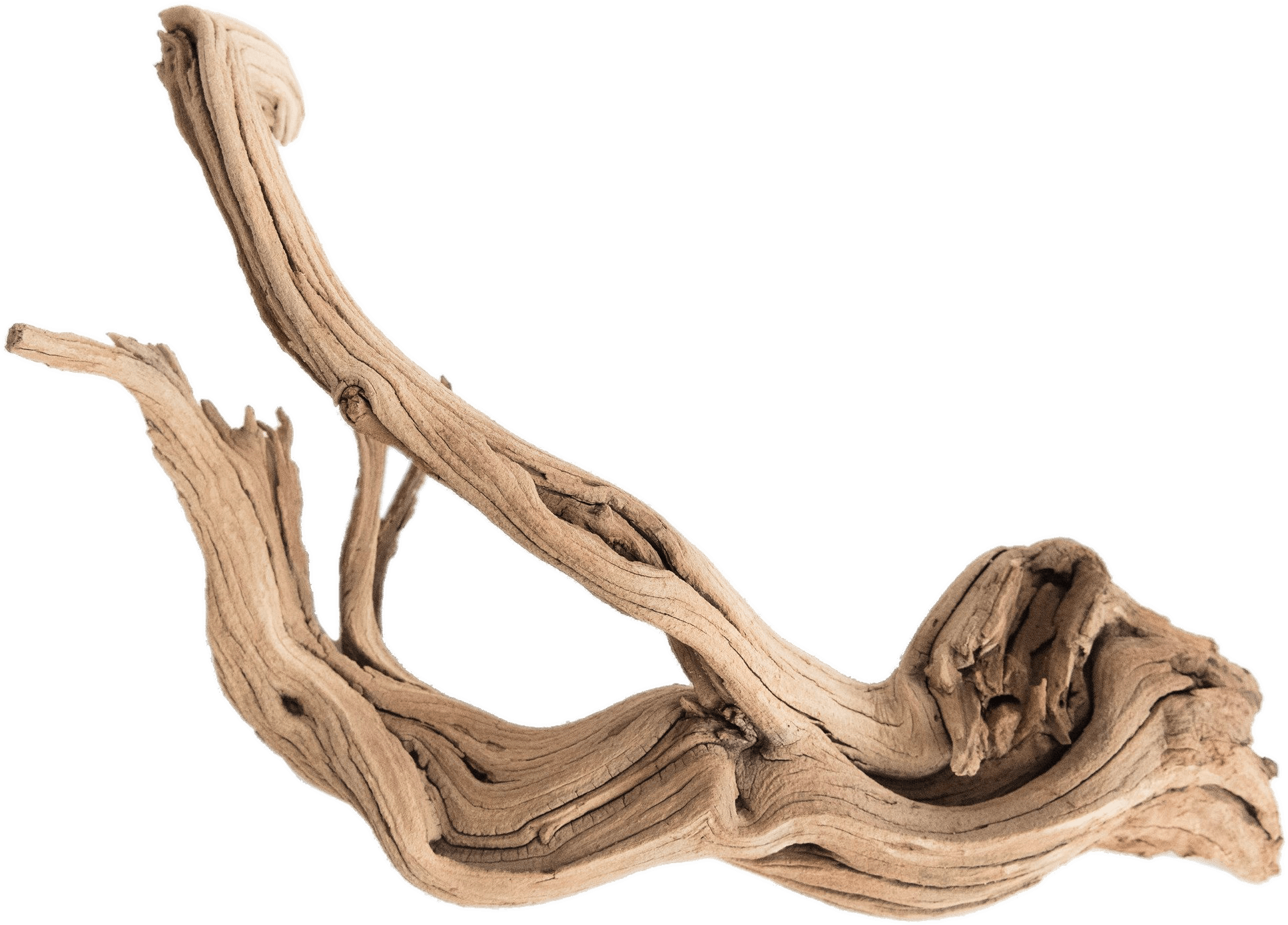 Nature - Driftwood Png Clipart (2000x2000), Png Download