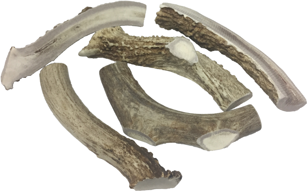 Deer Half Split 6" From Rawdelivery Natural Pet Food Clipart (1185x738), Png Download