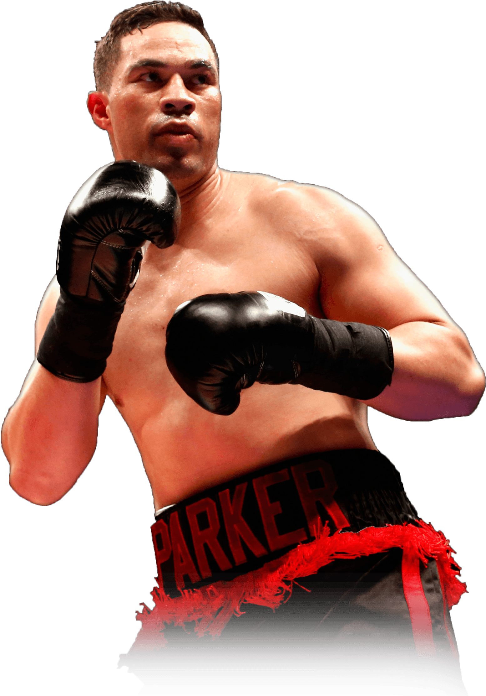 Svg Royalty Free Stock Fighter Clipart Professional - Professional Boxing - Png Download (1634x2598), Png Download