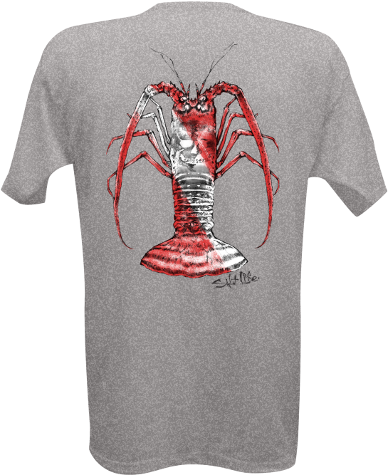 Image - Spiny Lobster Clipart (700x700), Png Download