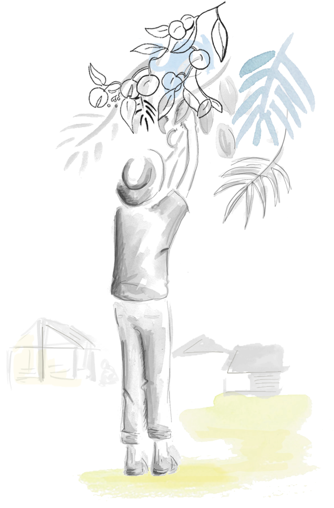 Cueillette@2x - Illustration Clipart (672x1020), Png Download