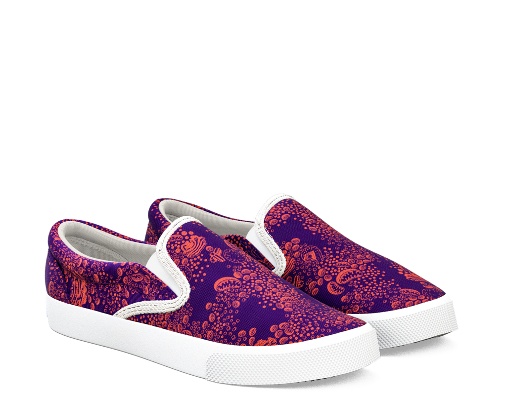 Shoe Clipart (1024x1024), Png Download