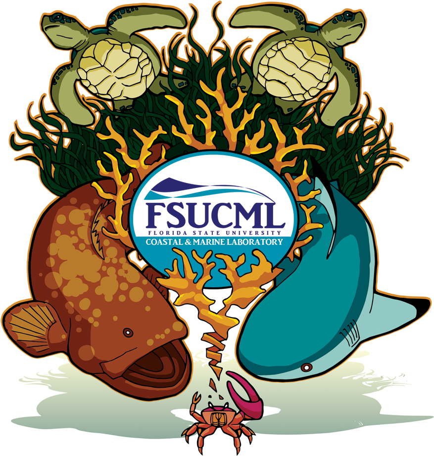 The Fsu Coastal & Marine Laboratory Will Hold Its Next - Fsu Coastal And Marine Lab Clipart (1000x1000), Png Download