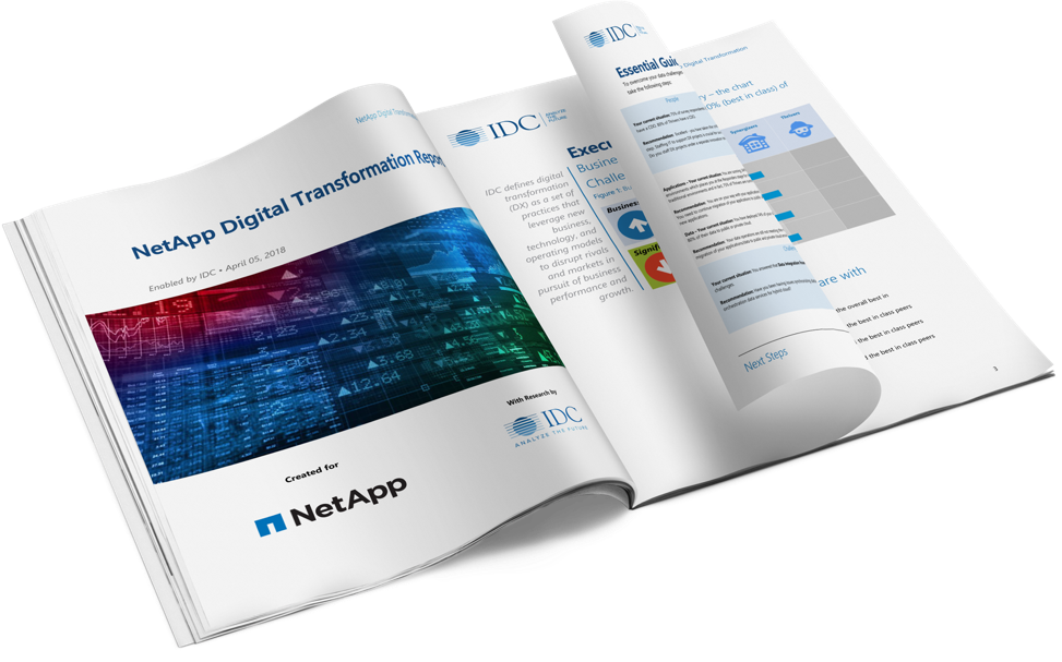 Netapp Digital Transformation Report - Graphic Design Clipart (973x607), Png Download