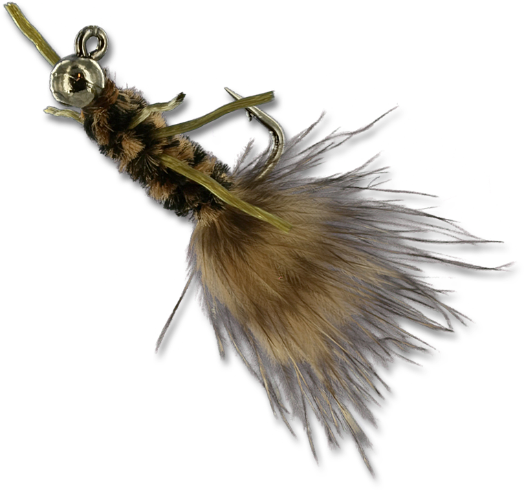 Tj Hooker - Black/brown - Bee Clipart (800x800), Png Download