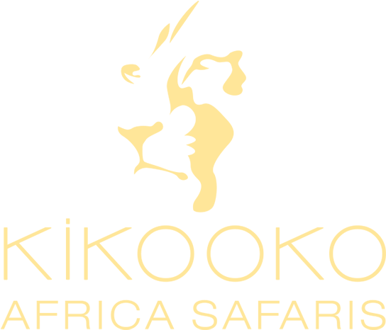 Kikooko Travel Safari Logo Yellow 2x - Aslan Silüeti Clipart (600x516), Png Download