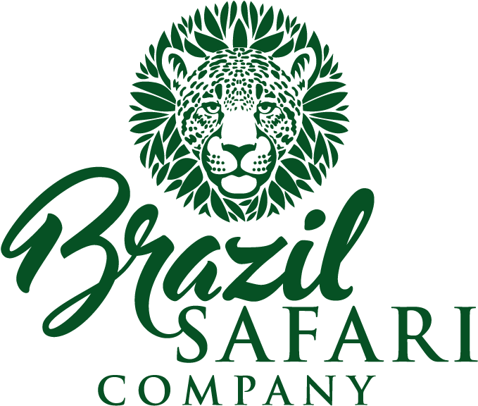Brazil Safari Company - Browlab Studio Clipart (700x602), Png Download