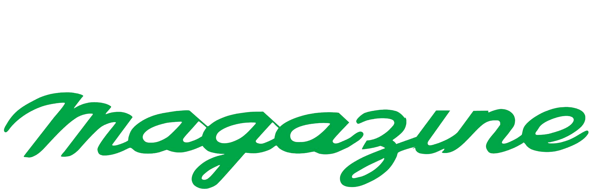 33 2 32 13 01 - Porsche Turbo Clipart (2048x665), Png Download