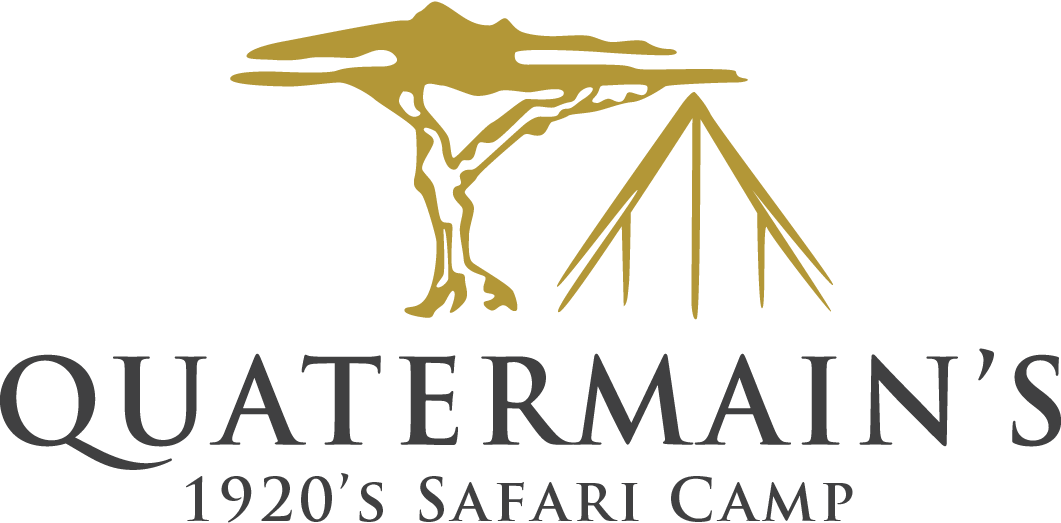 Quatermains Camp New Logo - Giraffe Clipart (1061x523), Png Download